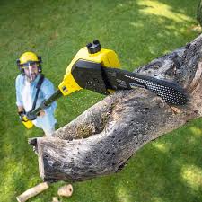 Best Emergency Tree Removal  in Eerlin, ND