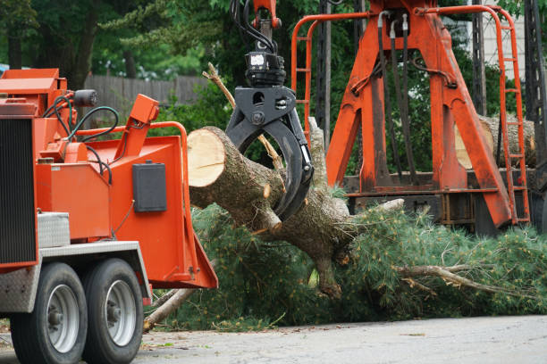 Best Lawn Grading and Leveling  in Eerlin, ND