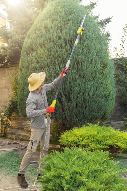 Lawn Grading and Leveling in Enderlin, ND